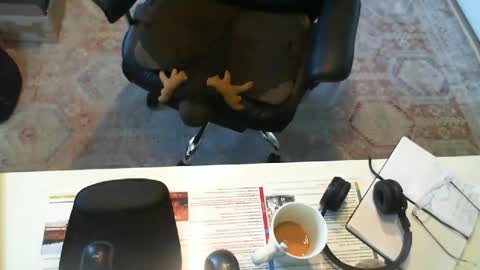 Snapshot of southernbones chatting on September 29, 3:06 pm SOUTHERNBONES online show from September 29, 3:06 pm