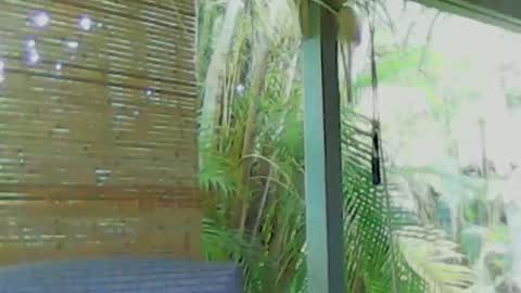 soveryhandsome online show from January 4, 5:58 am