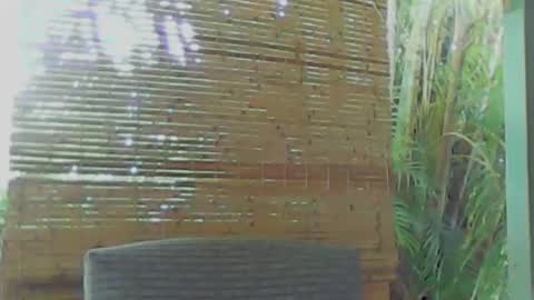 soveryhandsome online show from January 9, 5:34 am