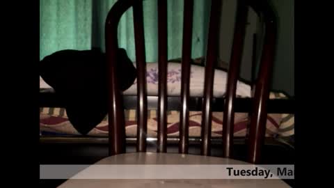 space Dog25 online show from March 3, 5:24 am