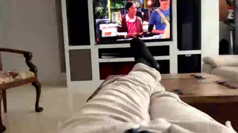 spain20011 online show from April 11, 11:58 am