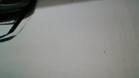 Snapshot of spark9191 chatting on August 7, 1:13 pm spark9191 online show from August 7, 1:13 pm