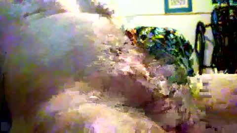 sparkybig127 online show from December 7, 4:25 pm