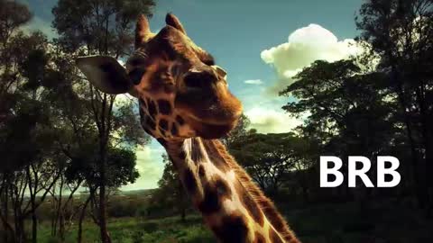 Snapshot of sport_tall_karina chatting on January 18, 9:02 am Karina online show from January 18, 9:02 am