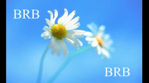 Snapshot of sport_tall_karina chatting on February 28, 8:31 am Karina online show from February 28, 8:31 am