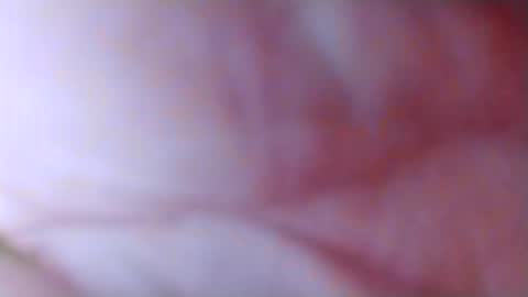 Snapshot of spun_horndaddy chatting on November 4, 10:58 am SpunSlut online show from November 4, 10:58 am
