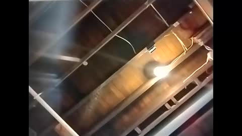 spundaddyandprincess online show from December 1, 4:29 pm