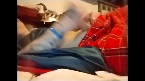 spundaddyandprincess online show from December 2, 3:15 am