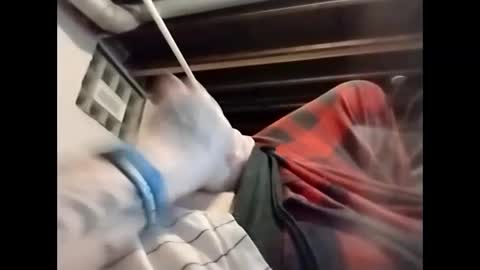 spundaddyandprincess online show from December 4, 6:00 am