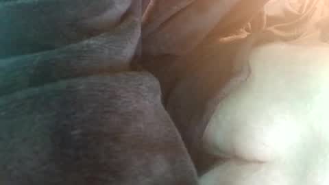 Snapshot of spunfuncumming chatting on July 19, 6:55 pm spunfuncumming online show from July 19, 6:55 pm