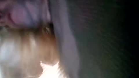 Snapshot of spunslut212 chatting on January 6, 3:51 pm spunslut212 online show from January 6, 3:51 pm