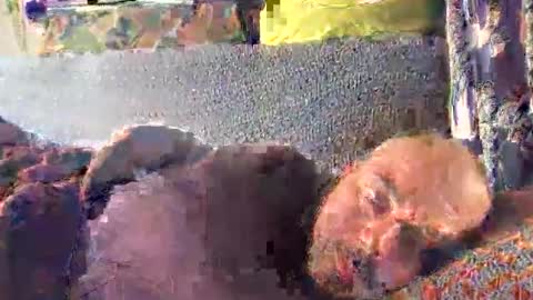 srekos38 online show from October 10, 12:37 pm