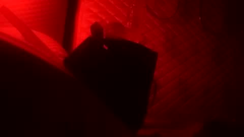 Dick online show from October 22, 8:36 am