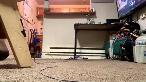 Snapshot of stacytasteme chatting on February 21, 4:41 pm Submissive Slut LOVES adoration online show from February 21, 4:41 pm