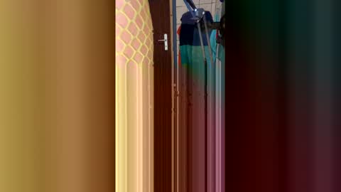 Snapshot of stambo0704987834 chatting on January 17, 1:16 pm stambo0704987834 online show from January 17, 1:16 pm