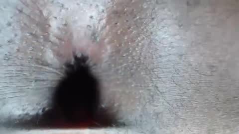 calvin online show from February 26, 6:12 am