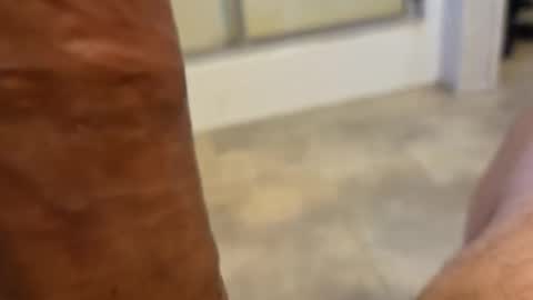 stareyes0249 online show from September 11, 10:32 pm