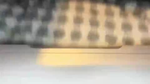 stcolster online show from March 7, 12:13 pm