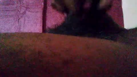 Snapshot of stebel666185 chatting on September 22, 1:24 pm stebel666185 online show from September 22, 1:24 pm