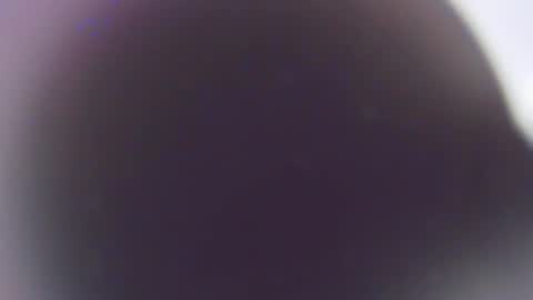 Stefano online show from December 3, 11:41 am