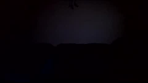 stefy1037 online show from February 19, 6:55 am