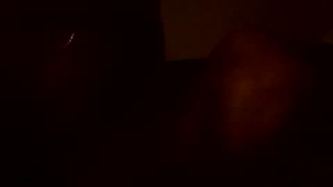 stefy1037 online show from June 13, 5:49 am