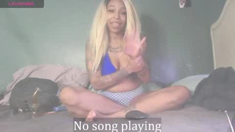 Stella Clitella online show from April 11, 7:24 am