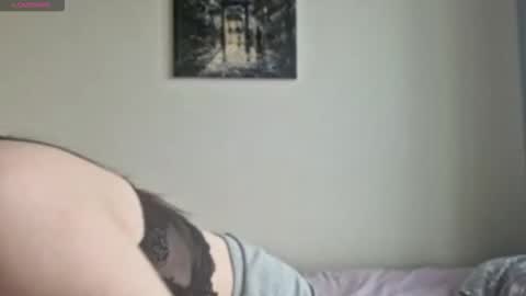 Stella online show from November 26, 9:32 am