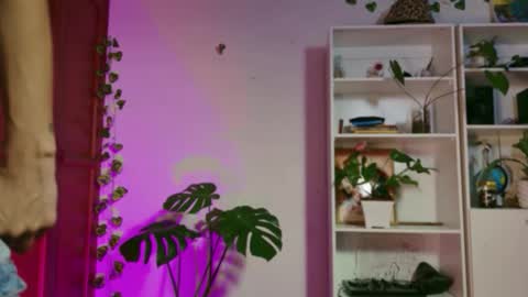 stellart_ online show from November 20, 3:50 am