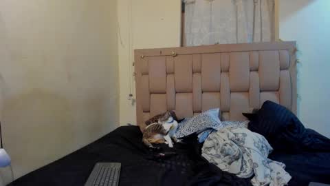 Stepcouple   online show from January 7, 11:51 pm