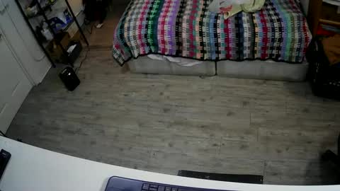 Snapshot of sterileball chatting on December 7, 3:47 am sterileball online show from December 7, 3:47 am