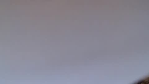 steve_oo8 online show from March 17, 11:24 am