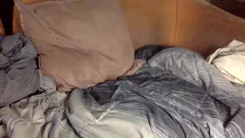 Snapshot of stevemason718 chatting on February 20, 4:14 pm STEVE CASHMASTER 1comedia online show from February 20, 4:14 pm