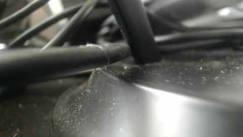 Snapshot of stewpididiot chatting on September 11, 4:51 pm Stew Pididiot online show from September 11, 4:51 pm