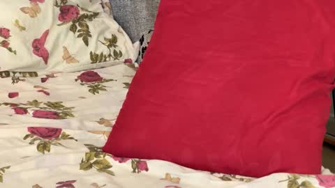 Chris online show from October 14, 8:37 am