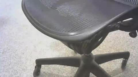 stl hammer online show from November 6, 8:54 pm