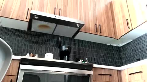 Snapshot of stlhotwifeguy chatting on February 14, 3:36 pm stlhotwifeguy online show from February 14, 3:36 pm