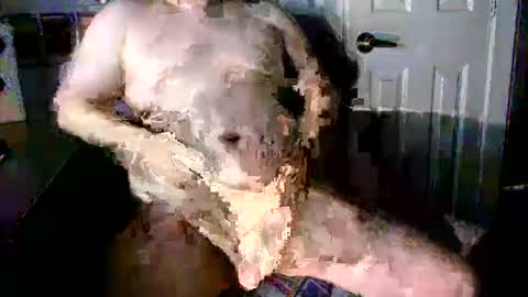 StockynCuddly online show from October 16, 11:06 pm