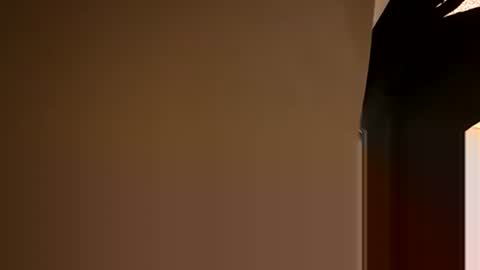 Snapshot of stokely571996 chatting on December 5, 8:55 pm Oval2022 online show from December 5, 8:55 pm