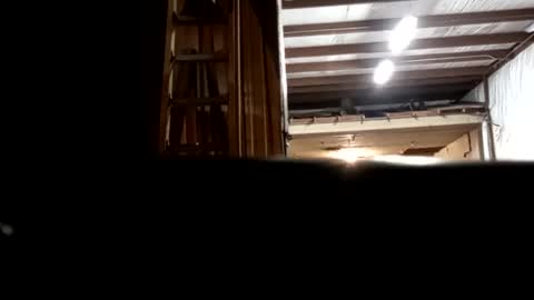 Snapshot of stokely571996 chatting on December 16, 12:48 am Oval2022 online show from December 16, 12:48 am