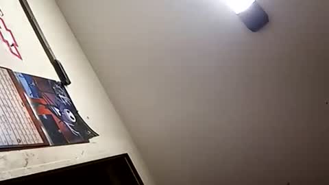 Snapshot of stokely571996 chatting on January 1, 1:16 pm Oval2022 online show from January 1, 1:16 pm