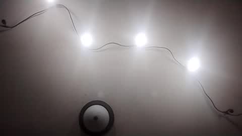 Oval2022 online show from March 19, 11:58 am