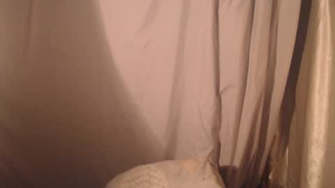 stonenipple online show from October 28, 5:48 pm