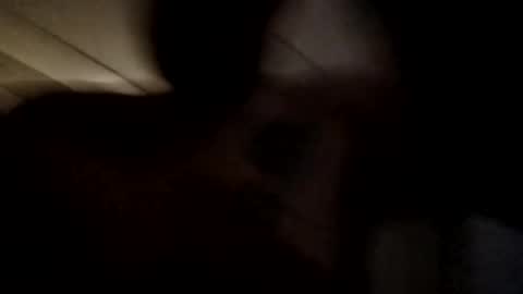 stout0818 online show from September 14, 9:30 am