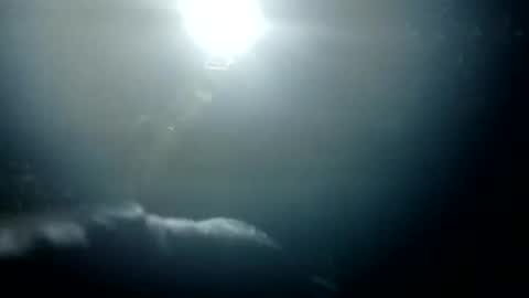 Bigdickdugan online show from January 26, 1:36 pm