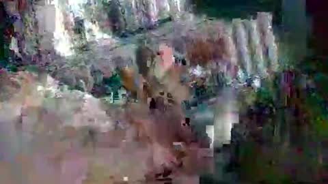 Snapshot of stud_1975 chatting on March 2, 8:05 am stud_1975 online show from March 2, 8:05 am