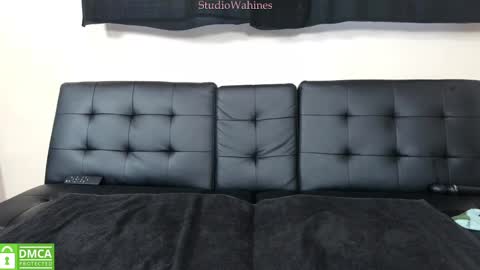 Snapshot of studiowahines chatting on January 29, 10:11 pm StudioWahines online show from January 29, 10:11 pm