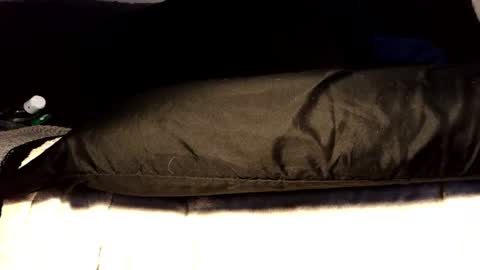 Snapshot of submissiveforu chatting on June 17, 3:35 pm between my legs online show from June 17, 3:35 pm
