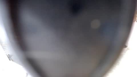 Snapshot of sugarplumy chatting on July 10, 3:44 am KUROME online show from July 10, 3:44 am