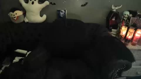 Snapshot of sugary_sweet chatting on November 8, 2:01 am Sugary online show from November 8, 2:01 am